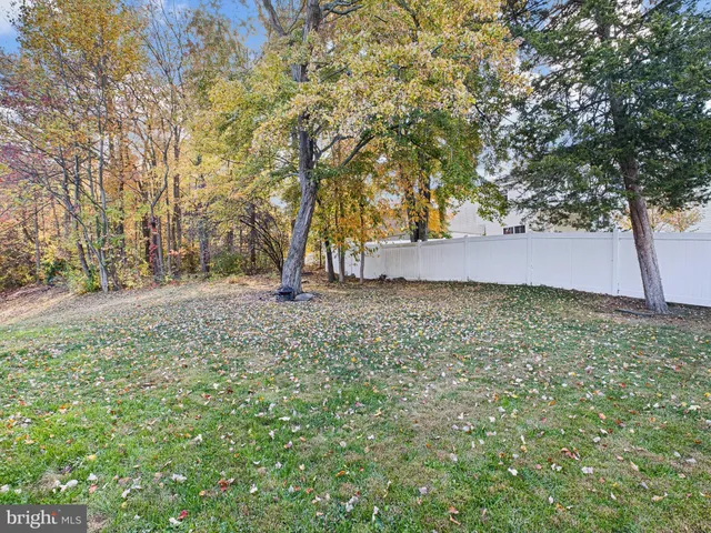 a view of backyard and tree
