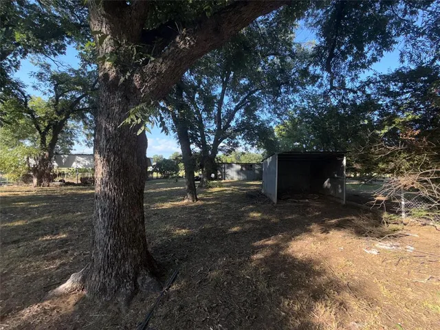 a view of a tree in the middle of a yard