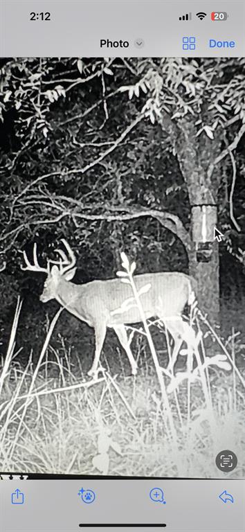 2913 County Line Road Chico, TX 76431 - Photo 15 of 18