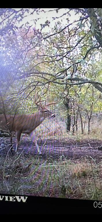 2913 County Line Road Chico, TX 76431 - Photo 16 of 18