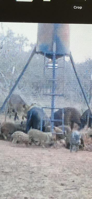 2913 County Line Road Chico, TX 76431 - Photo 17 of 18 a living room with furniture