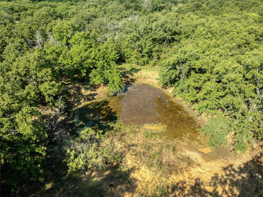 2913 County Line Road Chico, TX 76431 - Photo 9 of 18 a view of a yard