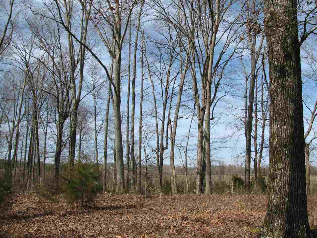 1 Cr 614 Road Corinth, MS 38834 - Photo 12 of 13 Gallery Image 12