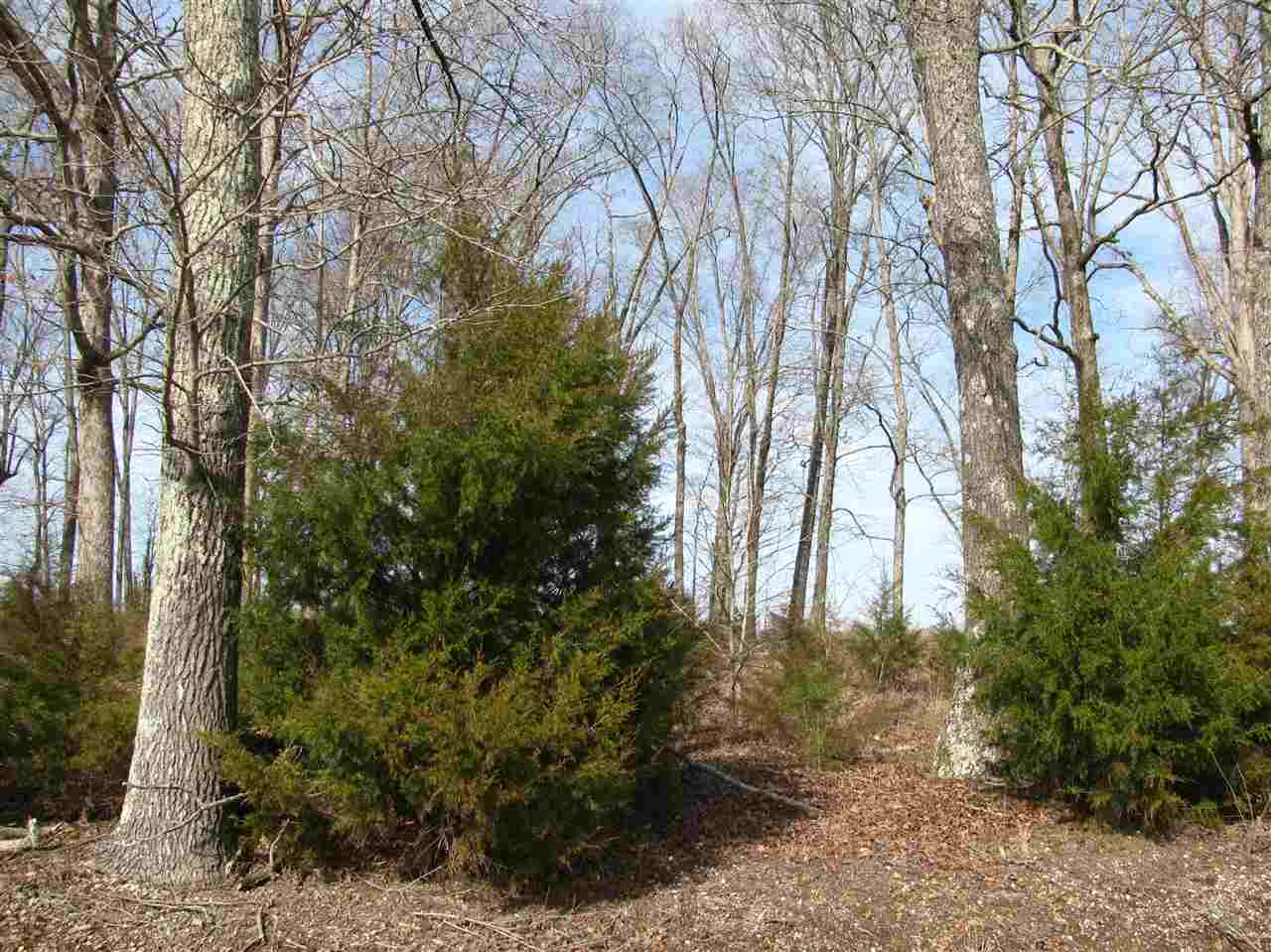 1 Cr 614 Road Corinth, MS 38834 - Photo 3 of 13 Gallery Image 3
