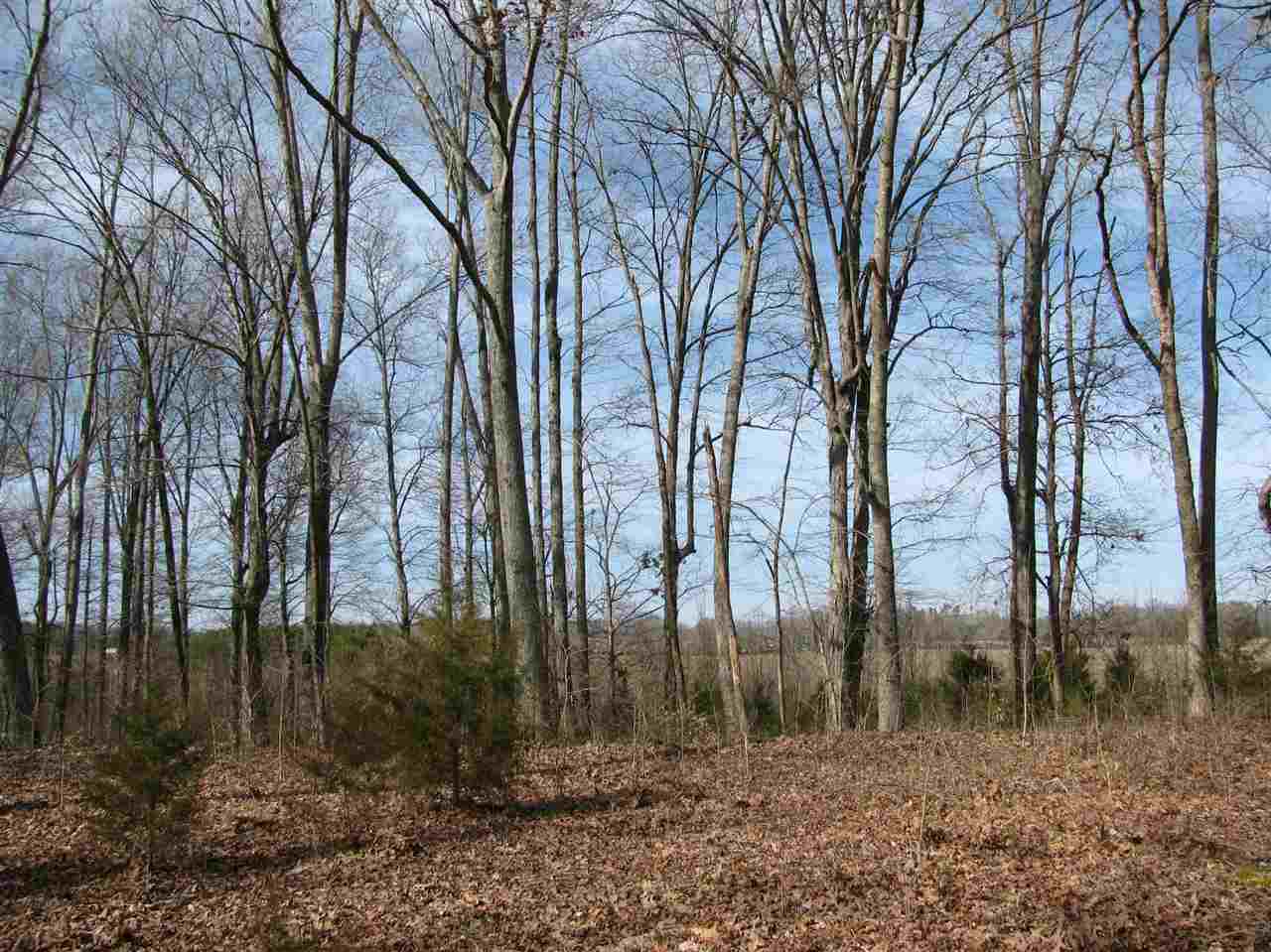 1 Cr 614 Road Corinth, MS 38834 - Photo 4 of 13 Gallery Image 4