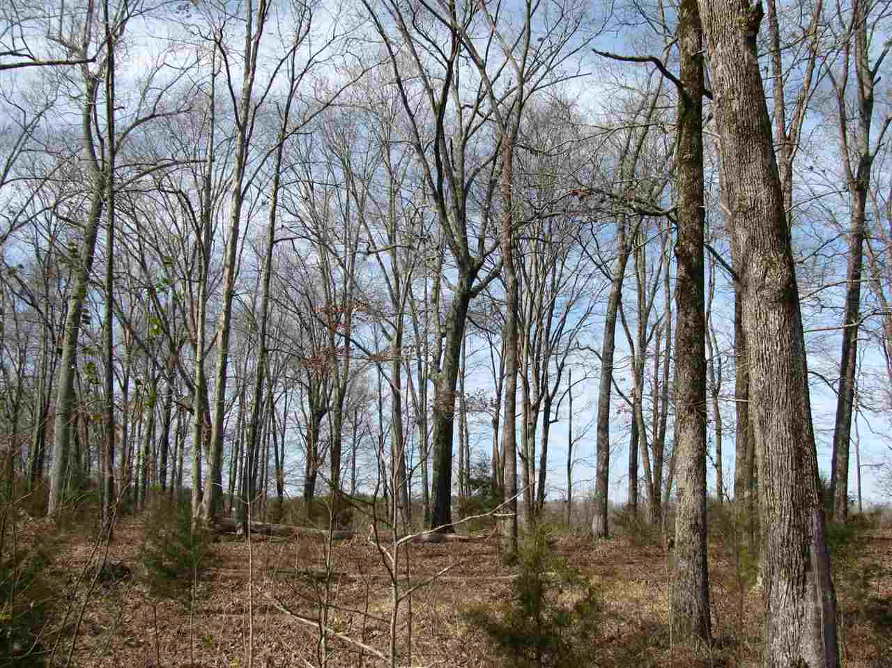 1 Cr 614 Road Corinth, MS 38834 - Photo 6 of 13 Gallery Image 6