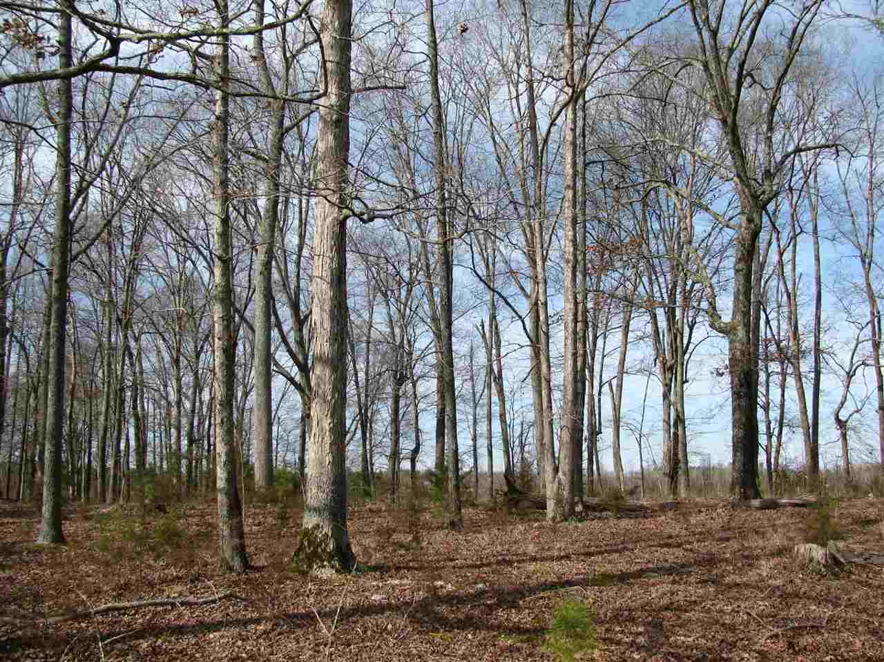 1 Cr 614 Road Corinth, MS 38834 - Photo 7 of 13 Gallery Image 7