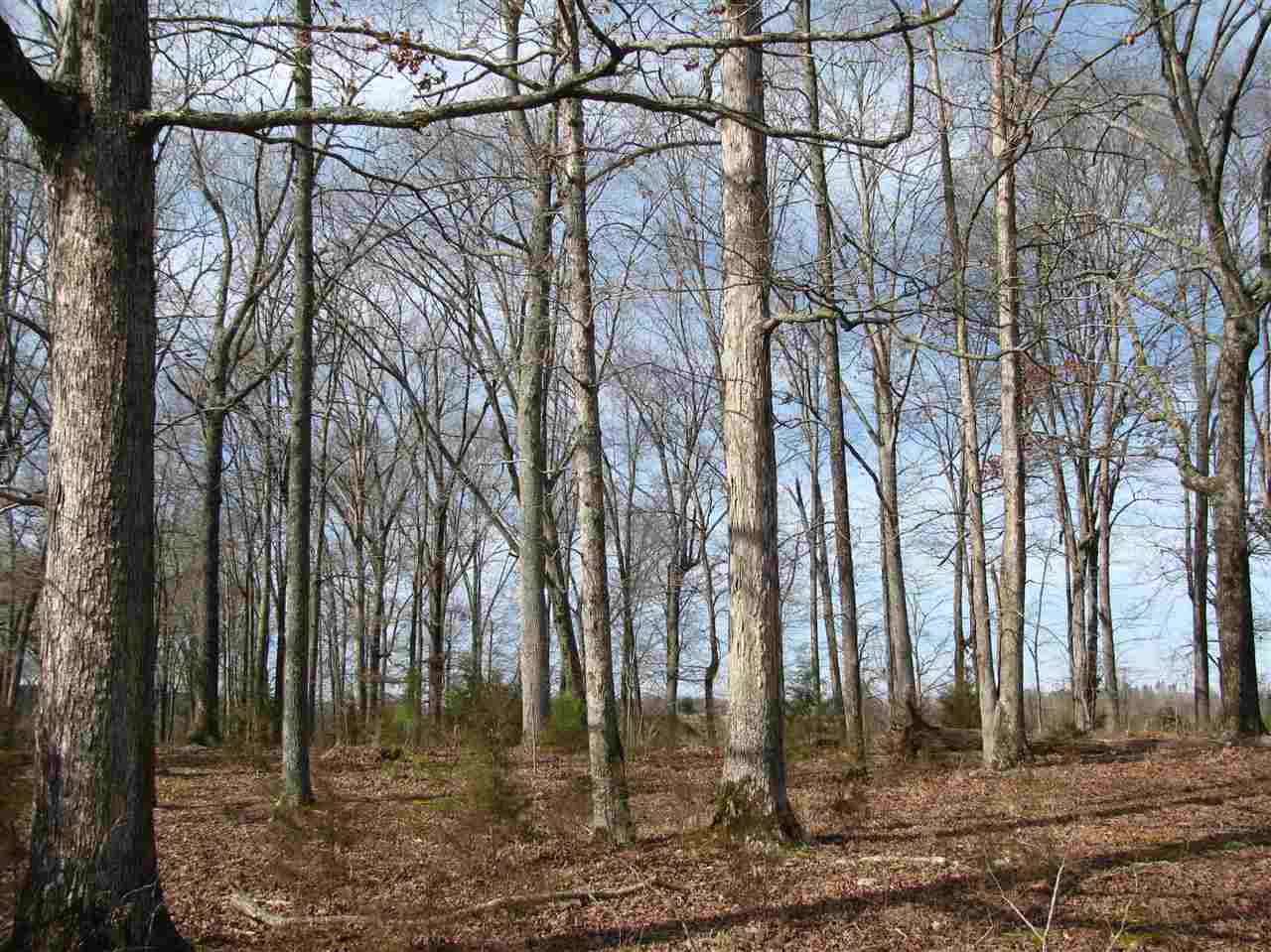 1 Cr 614 Road Corinth, MS 38834 - Photo 8 of 13 Gallery Image 8