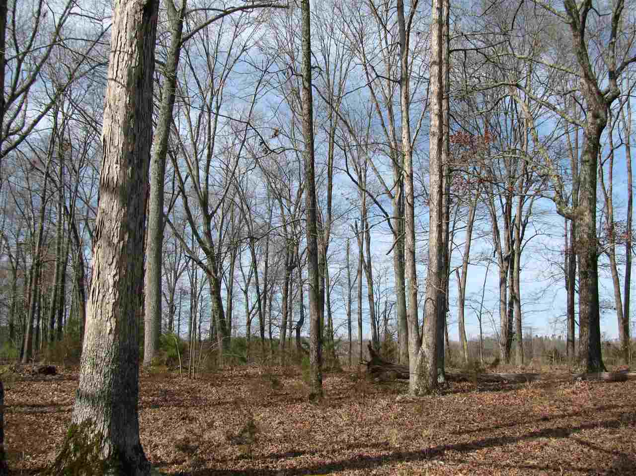 1 Cr 614 Road Corinth, MS 38834 - Photo 9 of 13 Gallery Image 9