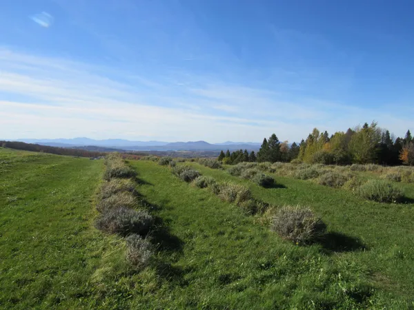 $250,000 | 2103 Herrick Road, Derby, VT 05829