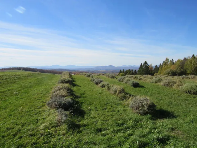 $298,000 | 2103 Herrick Road, Derby, VT 05829