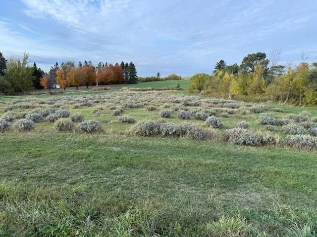 $298,000 | 2103 Herrick Road, Derby, VT 05829