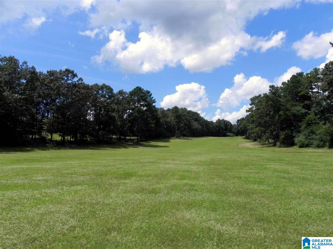 812 Cherokee Trail Anniston, AL 36206 - Photo 5 of 50