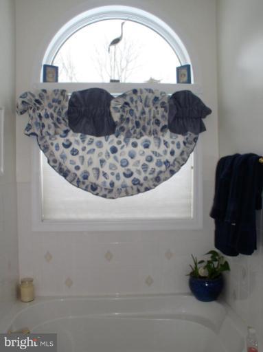 315 McKay Road Stevensville, MD 21666 - Photo 4 of 15 Master Bath #2