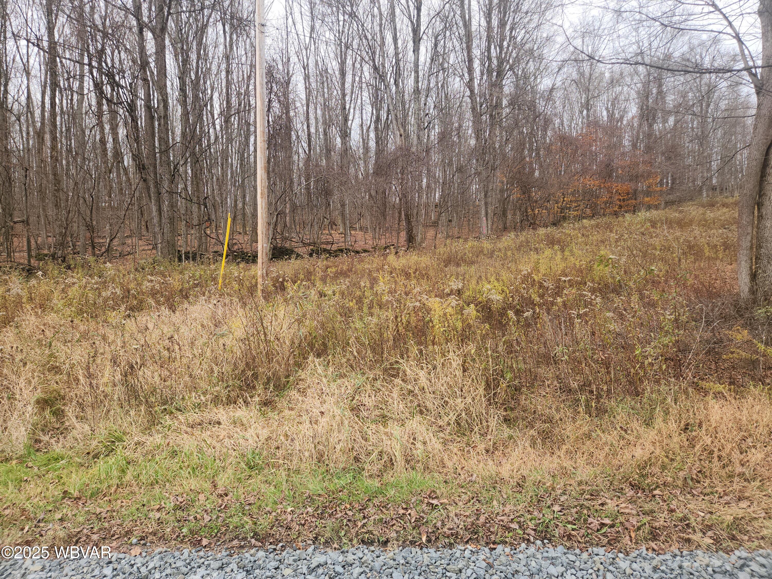 1750 Murphy Road New Albany, PA 18833 - Photo 2 of 8 1000017598