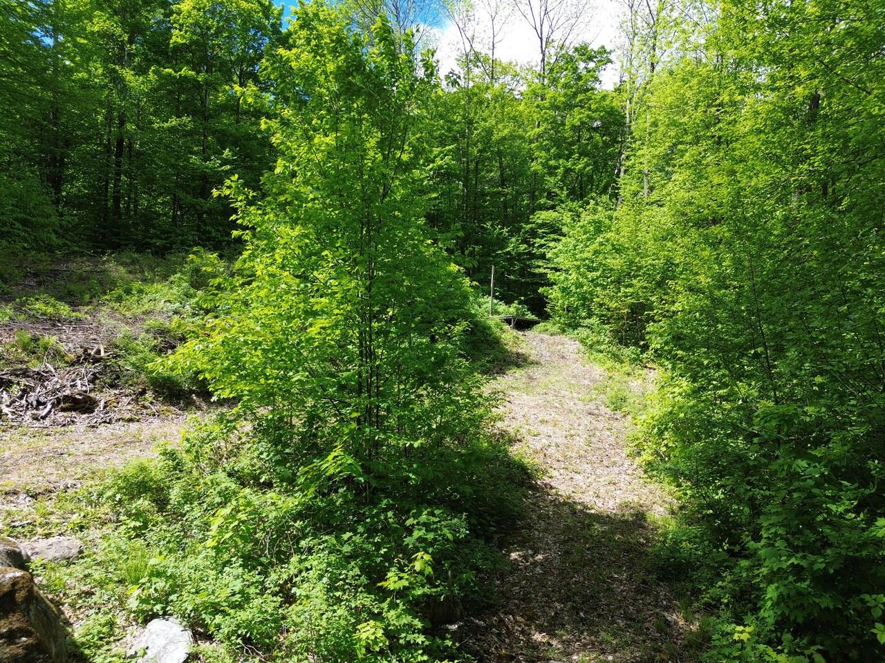 197 Sugar Ledge Road, Unit 4 Warren, VT 05674 - Photo 3 of 17