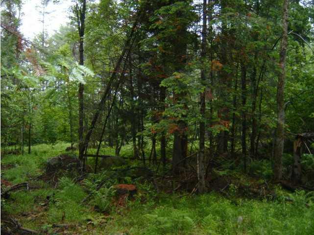 156 Wilton Road Chesterville, ME 04938 - Photo 11 of 14 Land/Lot.