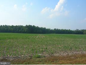 28320 Turner Road Federalsburg, MD 21632 - Photo 3 of 4 Gallery Image 3