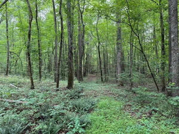 $245,850 | 0 Brewster Field Road, Cedartown, GA 30125