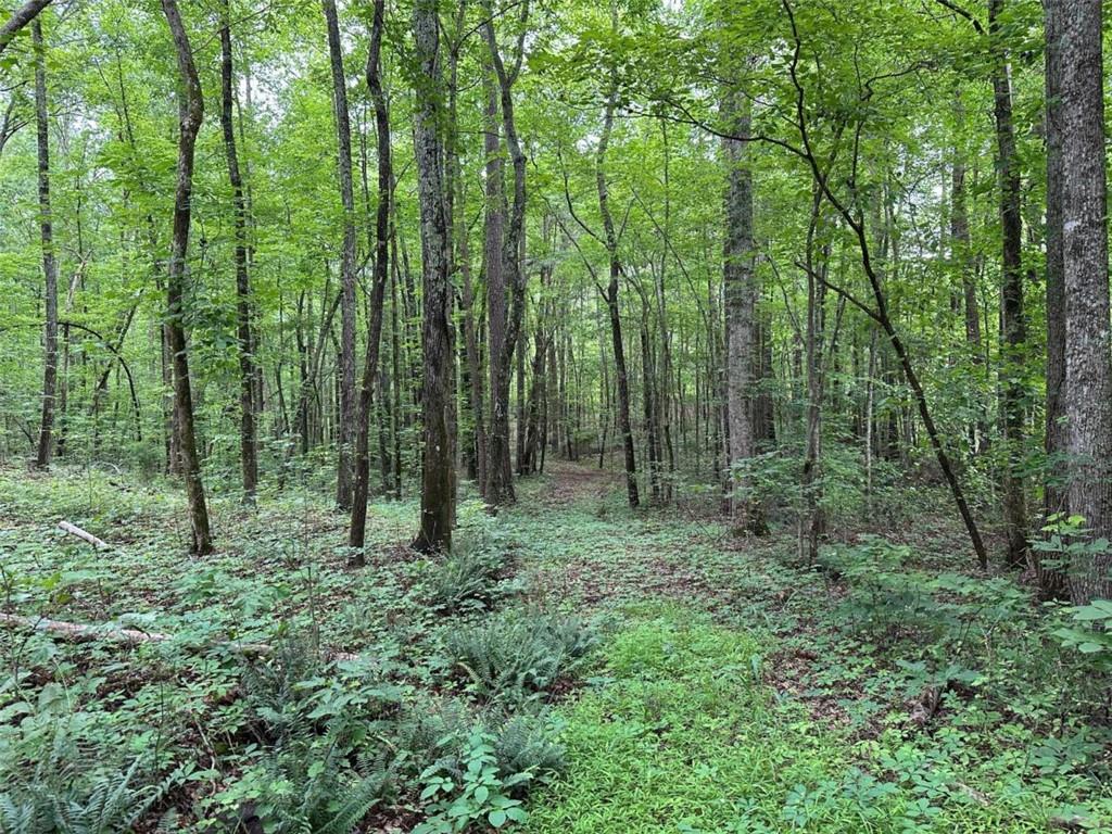 0 Brewster Field Road Cedartown, GA 30125 - Photo 1 of 23