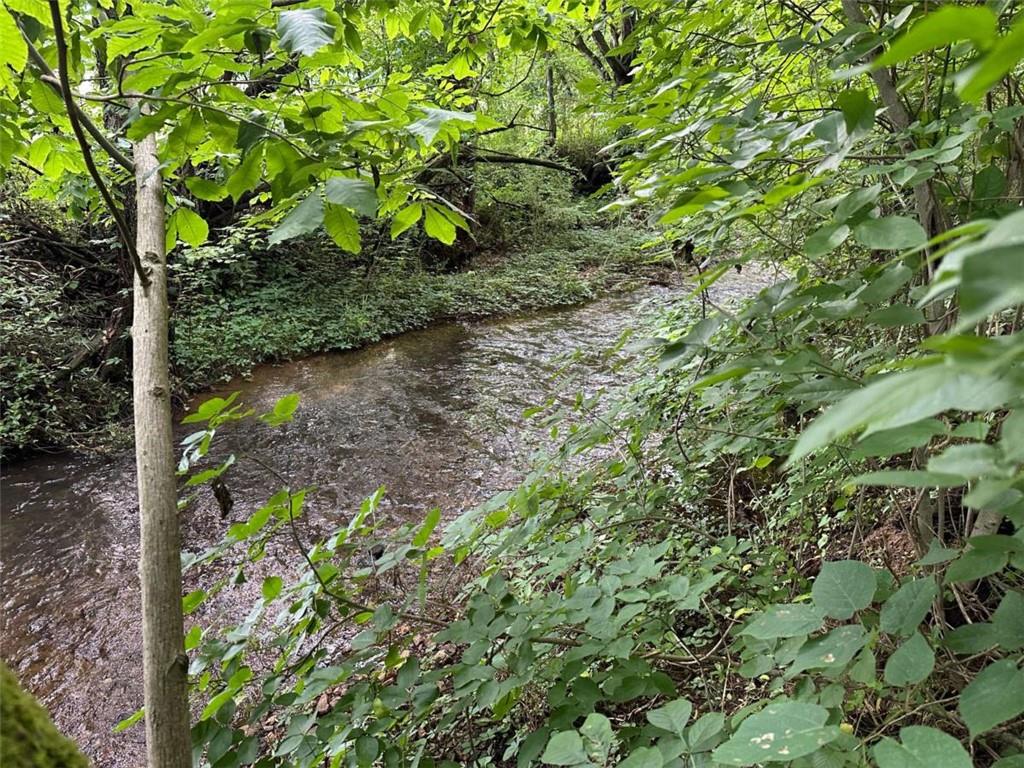 0 Brewster Field Road Cedartown, GA 30125 - Photo 11 of 23