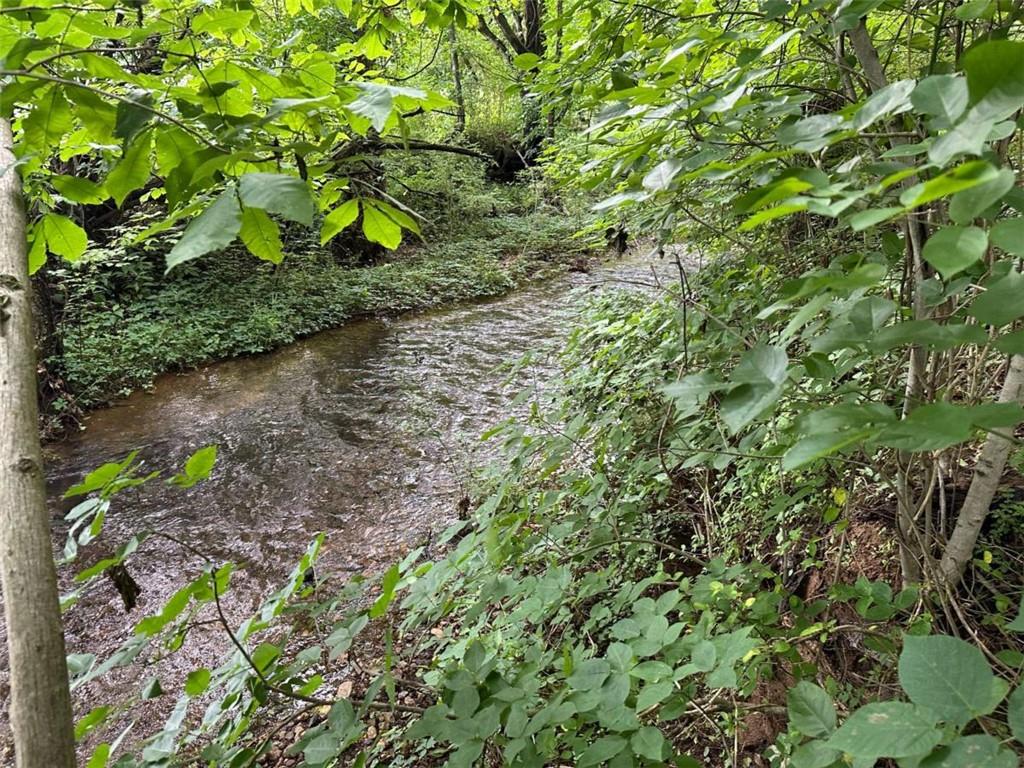 0 Brewster Field Road Cedartown, GA 30125 - Photo 13 of 23