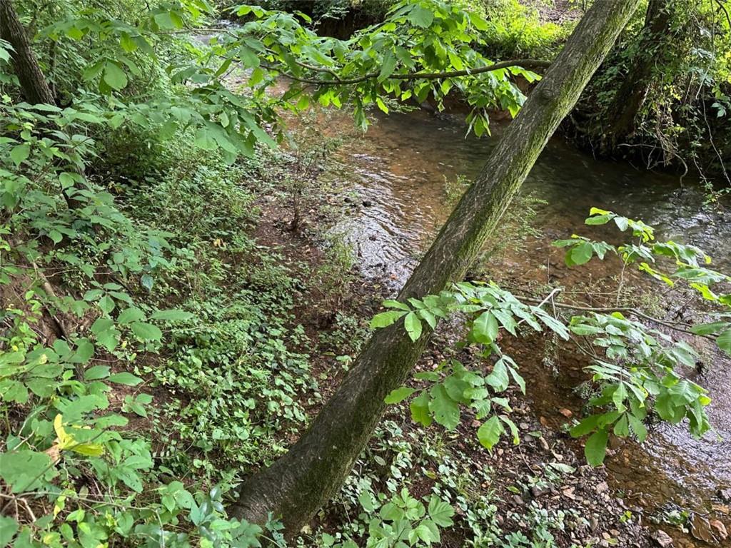 0 Brewster Field Road Cedartown, GA 30125 - Photo 14 of 23