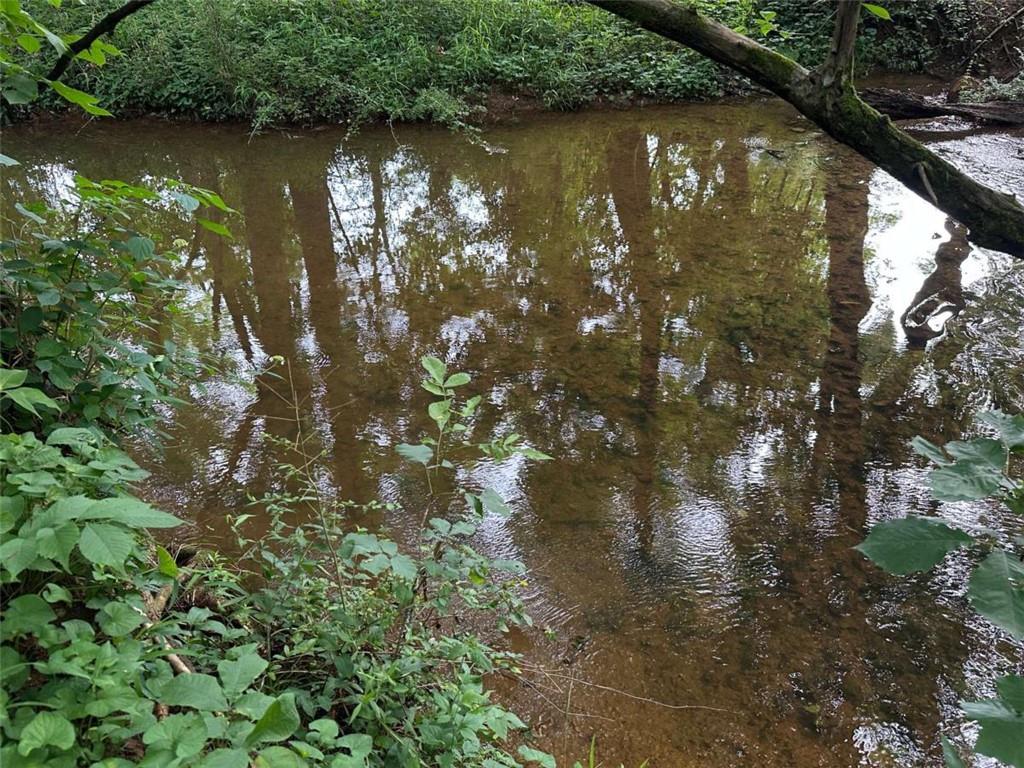 0 Brewster Field Road Cedartown, GA 30125 - Photo 15 of 23