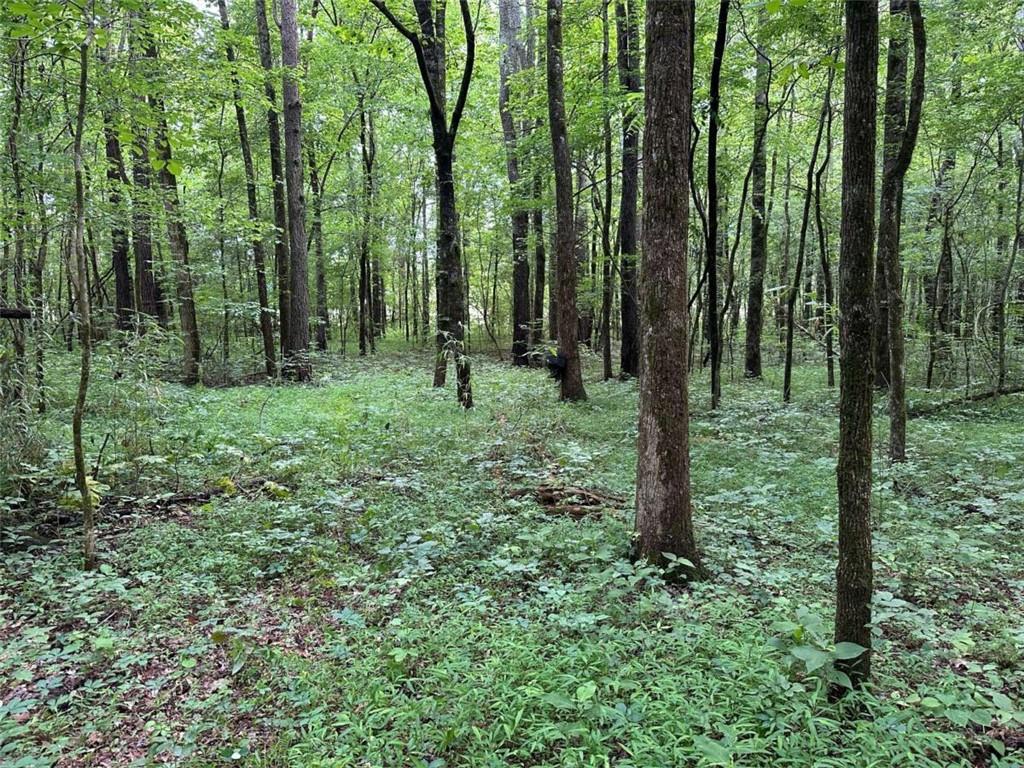 0 Brewster Field Road Cedartown, GA 30125 - Photo 16 of 23