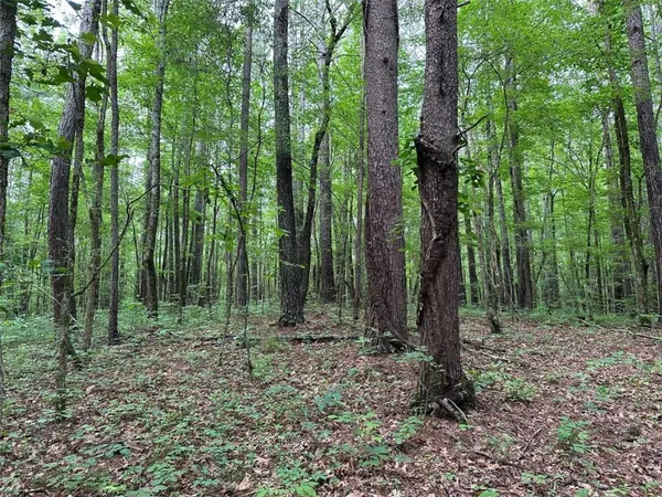 $245,850 | 0 Brewster Field Road, Cedartown, GA 30125
