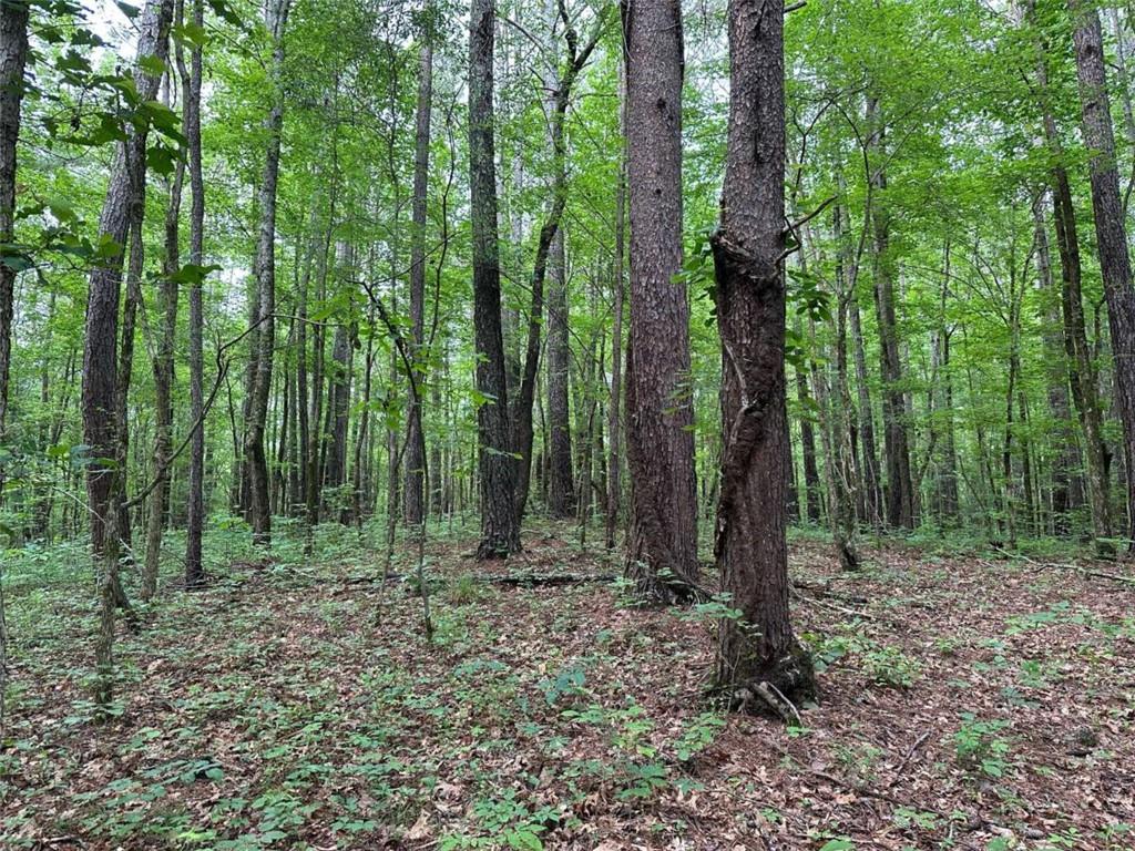 0 Brewster Field Road Cedartown, GA 30125 - Photo 17 of 23