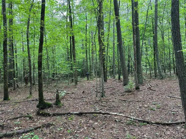 $245,850 | 0 Brewster Field Road, Cedartown, GA 30125