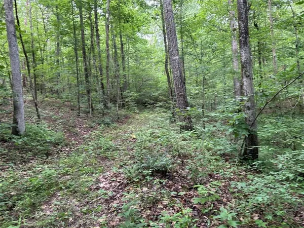 $245,850 | 0 Brewster Field Road, Cedartown, GA 30125