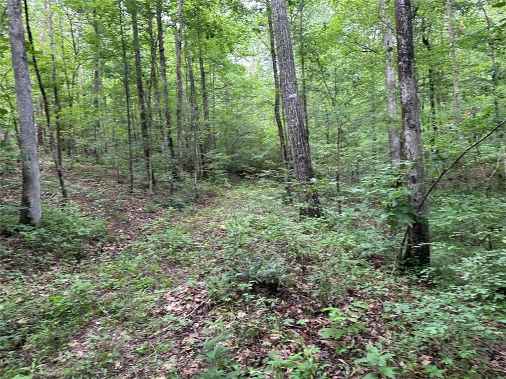 0 Brewster Field Road Cedartown, GA 30125 - Photo 19 of 23