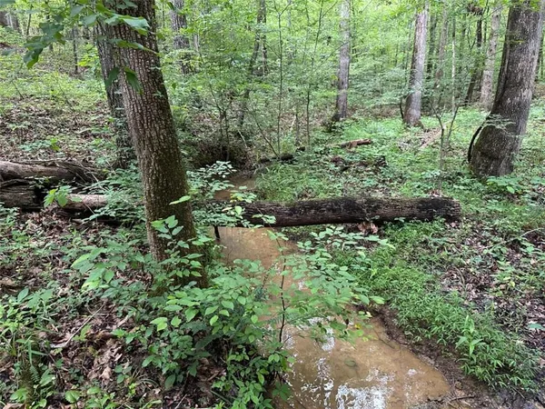 $245,850 | 0 Brewster Field Road, Cedartown, GA 30125