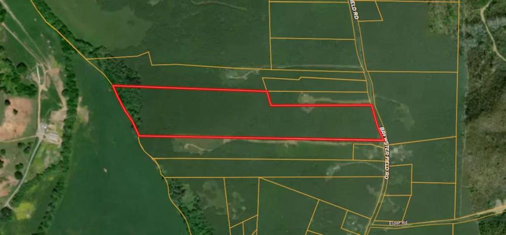 0 Brewster Field Road Cedartown, GA 30125 - Photo 2 of 23