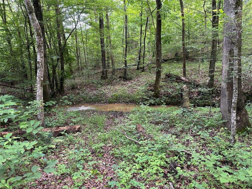 0 Brewster Field Road Cedartown, GA 30125 - Photo 21 of 23