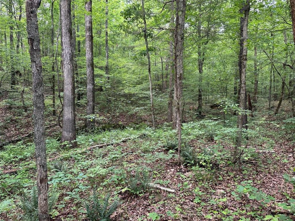 0 Brewster Field Road Cedartown, GA 30125 - Photo 22 of 23