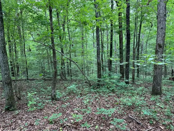 $245,850 | 0 Brewster Field Road, Cedartown, GA 30125