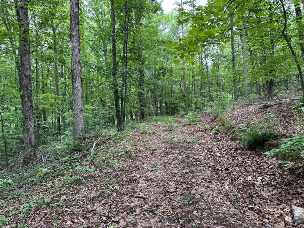 0 Brewster Field Road Cedartown, GA 30125 - Photo 3 of 23