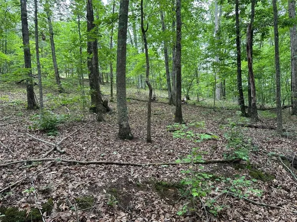 $245,850 | 0 Brewster Field Road, Cedartown, GA 30125