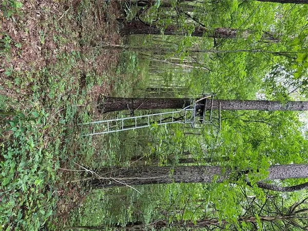 $245,850 | 0 Brewster Field Road, Cedartown, GA 30125