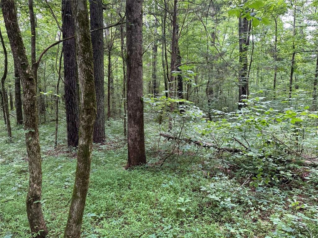 0 Brewster Field Road Cedartown, GA 30125 - Photo 6 of 23