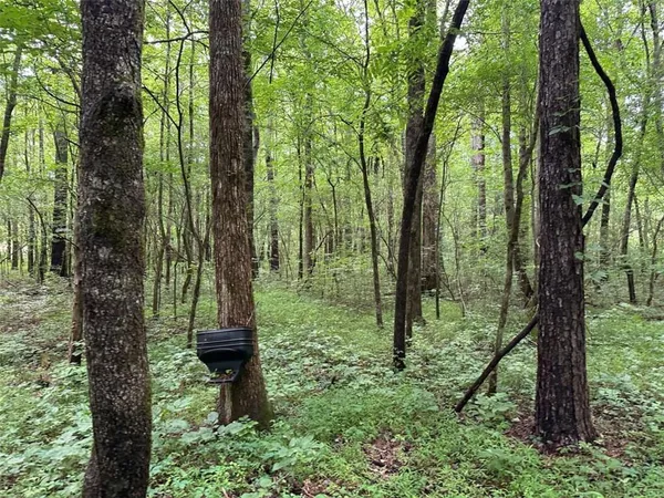 $245,850 | 0 Brewster Field Road, Cedartown, GA 30125