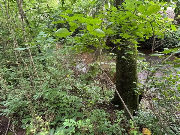 $245,850 | 0 Brewster Field Road, Cedartown, GA 30125