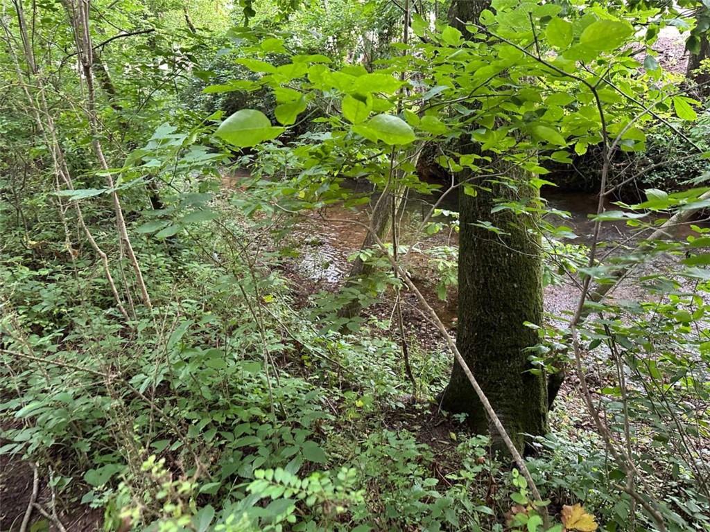 0 Brewster Field Road Cedartown, GA 30125 - Photo 8 of 23