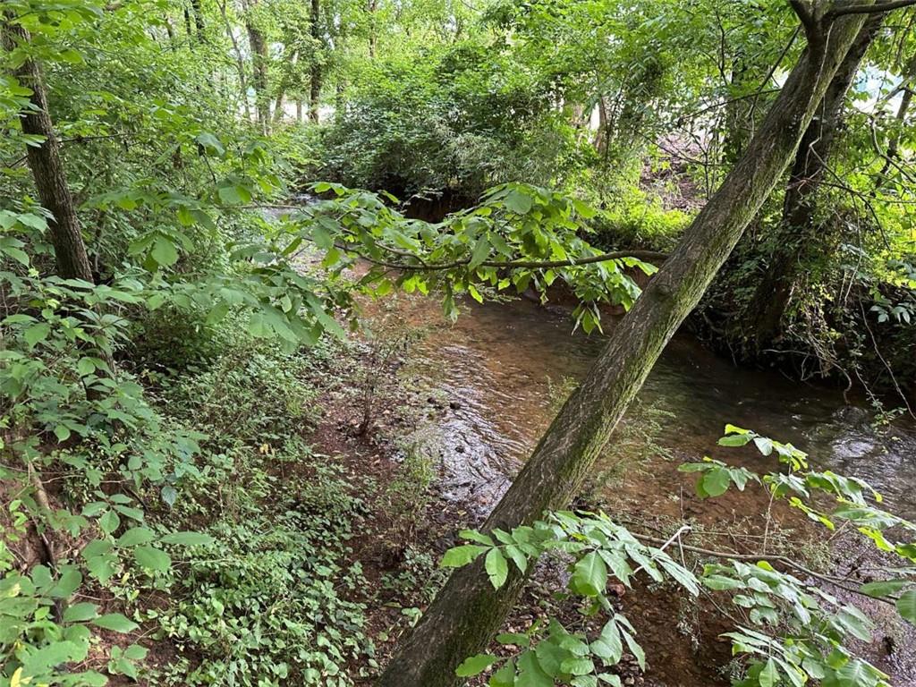 0 Brewster Field Road Cedartown, GA 30125 - Photo 9 of 23