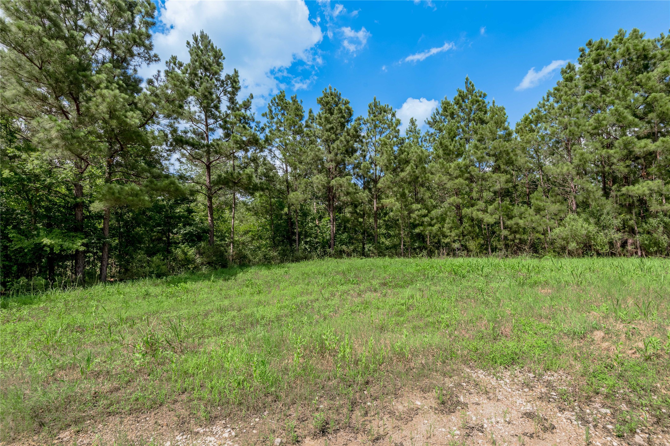 Na Gaston Road Apple Springs, TX 75926 - Photo 12 of 12