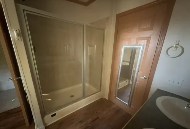 a bathroom with a shower and a sink