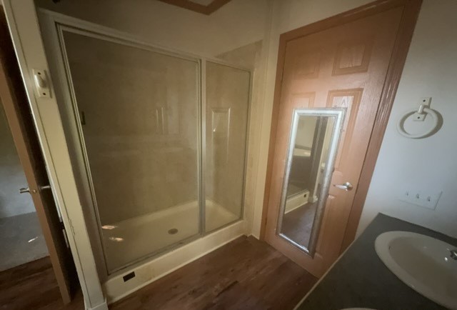 19188 East Divide Road Bluford, IL 62814 - Photo 12 of 20 a bathroom with a shower and a sink